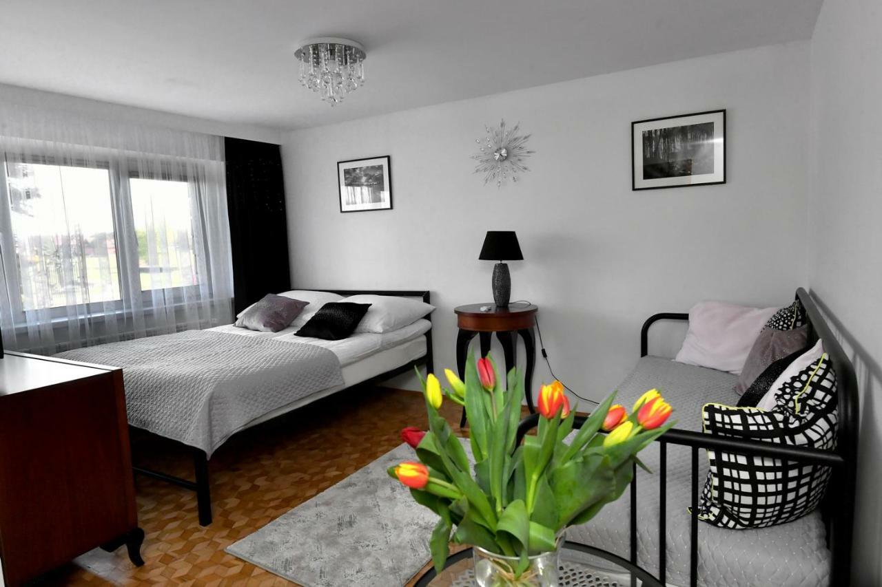 Apartament Spytkowice - Energylandia Krakow Oswiecim Wadowice Exterior foto